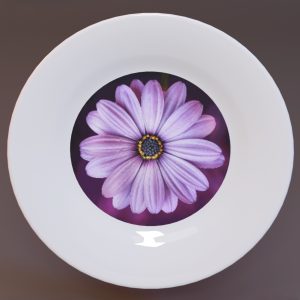 White Ceramic Plate